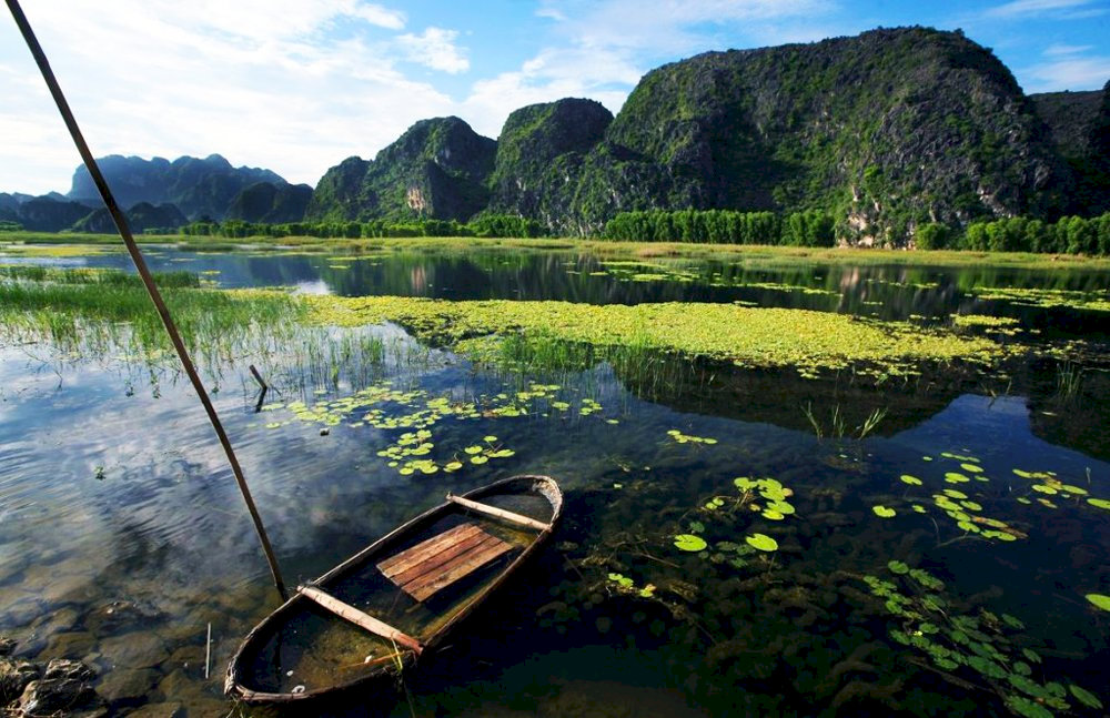 Spot langurs and waterbirds reflected on a mirror-still surface
